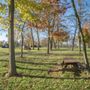 Photo of Sleighton Park
