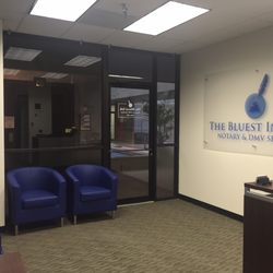The Bluest Ink - The Bluest Ink Notary - Interior