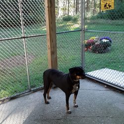 Our House Pet Lodge