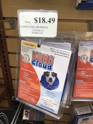 pet supermarket dog cone