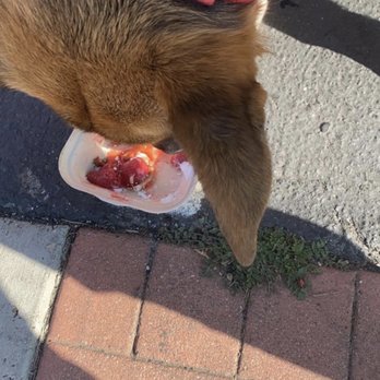 The Sweet Stop - I bought a funnel cake for my dog he loved it - Desserts Near Me - Riverside, California