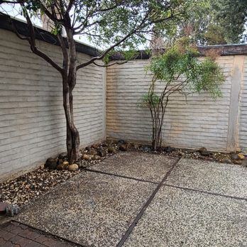Torres Landscaping - Cleaned up leaves and tree droppings. Trimmed the trees nicely. - Landscaping Near Me - Pittsburg, California