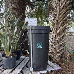 Roots and Shoots Nursery