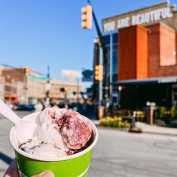 Square Scoop - Blackberry Cheesecake and Lemoreo Ice cream