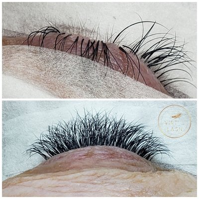 Virtue Lash by null
