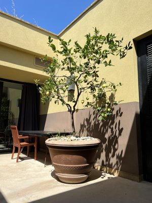 Verdura Resort, a Rocco Forte hotel by null