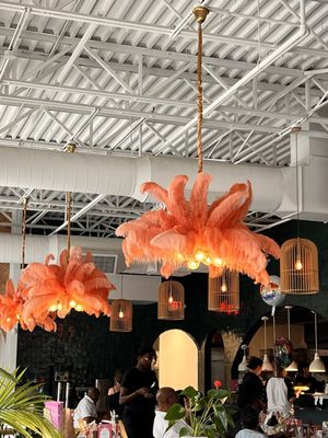 Birdcage by null