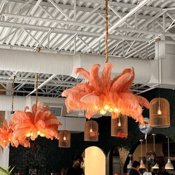 Birdcage