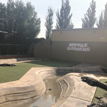 Reptile Gardens - No enriching environment - Botanical Gardens Near Me - Rapid City, South Dakota Reptile Gardens - No enriching environment - Botanical Gardens Near Me - Rapid City, South Dakota