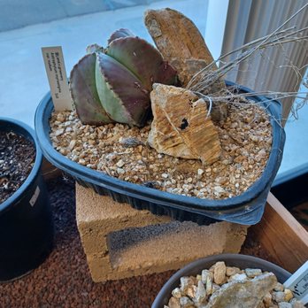 Leaf EnLight - Nurseries & Gardening Near Me - Pomona, California