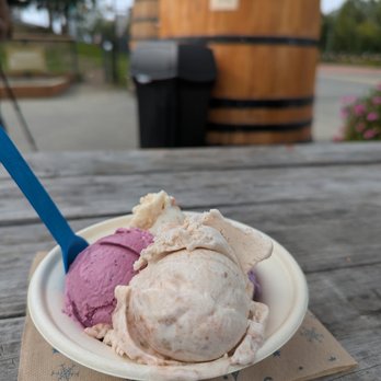Wild Scoops - wildberry, blueberry, and rhubarb - Ice Cream & Frozen Yogurt Near Me - Anchorage, Alaska Wild Scoops - wildberry, blueberry, and rhubarb - Ice Cream & Frozen Yogurt Near Me - Anchorage, Alaska