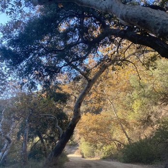 Holy Jim Falls Trail - Hiking Near Me - Trabuco Canyon, California
