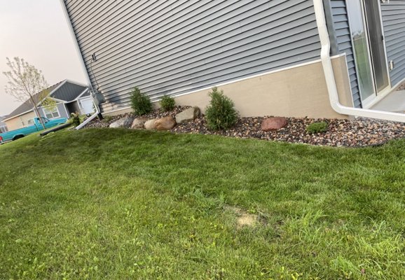 Boulder Work and Planting - I put in a retaining wall in this costumers back yard. I placed the 2x2ft boulders down, and also I had planted little pines in the backyard.
The mulch in the second picture is chocolate mulch and planted plants. Boulder Work and Planting - I put in a retaining wall in this costumers back yard. I placed the 2x2ft boulders down, and also I had planted little pines in the backyard.
The mulch in the second picture is chocolate mulch and planted plants.