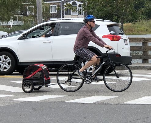 Coastal Maine Hike and Bike by null