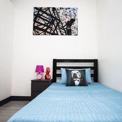 D Pet Hotels Los Angeles - Dog Boarding - Sensational Suite