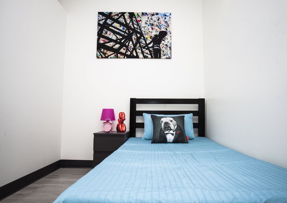 D PET HOTELS LOS ANGELES Updated August 2024 146 Photos & 103