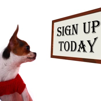 Paws R Us Pet Services - Dog Walkers Near Me - Lorton, Virginia Paws R Us Pet Services - Dog Walkers Near Me - Lorton, Virginia