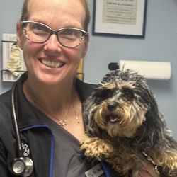 Heatherdowns Veterinary Clinic - Dr. Megan caring for Shelby.