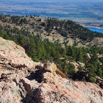 Horsetooth Mountain Open Space - Hiking Near Me - Fort Collins, Colorado Horsetooth Mountain Open Space - Hiking Near Me - Fort Collins, Colorado