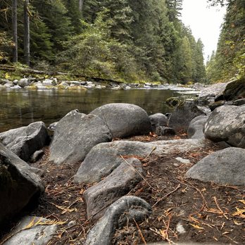 Old Salmon River Trail - River - Hiking Near Me - Clackamas, Oregon
