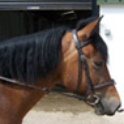 Horseworld - From website