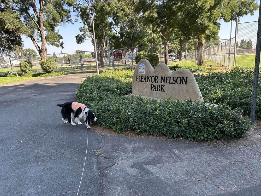 NELSON PARK Updated August 2024 12 Photos 1840 Marshall Rd, Vacaville, California