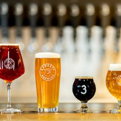3 Sheeps Brewing - Draft beers at the bar