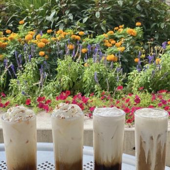 Grounds for Dismissal Coffee - Fall Seasonal Flight 2022 - Coffee & Tea Near Me - Denver, Colorado