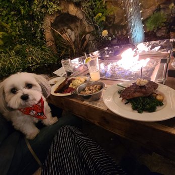 Tarpy's Roadhouse - Steak and doggo menu chicken - New American Near Me - Monterey, California
