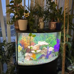 The Helpful Aquarium Hand
