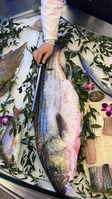 Giuseppe's Market at Samuels Seafood Co. by null