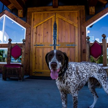 Camelot Vineyards - a dog standing in front of a barrel - Wineries Near Me - Kelowna, British Columbia Camelot Vineyards - a dog standing in front of a barrel - Wineries Near Me - Kelowna, British Columbia