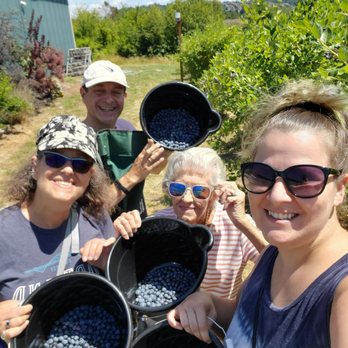 Powder Blueberry Farm - Family blueberry picking! - CSA Near Me - Gresham, Oregon