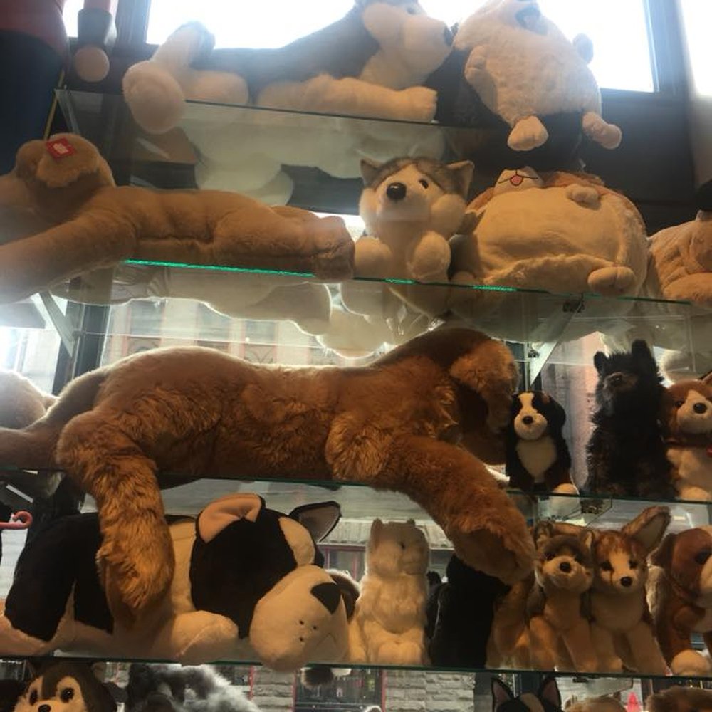 Magic Mouse Toys - Plenty of stuffed animals - Toy Stores Near Me - Seattle, Washington Magic Mouse Toys - Plenty of stuffed animals - Toy Stores Near Me - Seattle, Washington