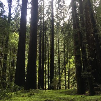 Humboldt Redwoods State Park - Parks Near Me - Weott, California Humboldt Redwoods State Park - Parks Near Me - Weott, California