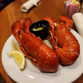 Koto Buffet - 2 Lobsters, had to insist, both would be eaten - Buffets Near Me - Placerville, California Koto Buffet - 2 Lobsters, had to insist, both would be eaten - Buffets Near Me - Placerville, California