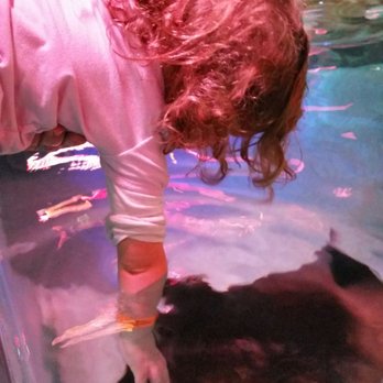 SeaQuest - Utah - Aquariums Near Me - Layton, Utah SeaQuest - Utah - Aquariums Near Me - Layton, Utah