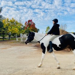 Brookside Equestrian Park