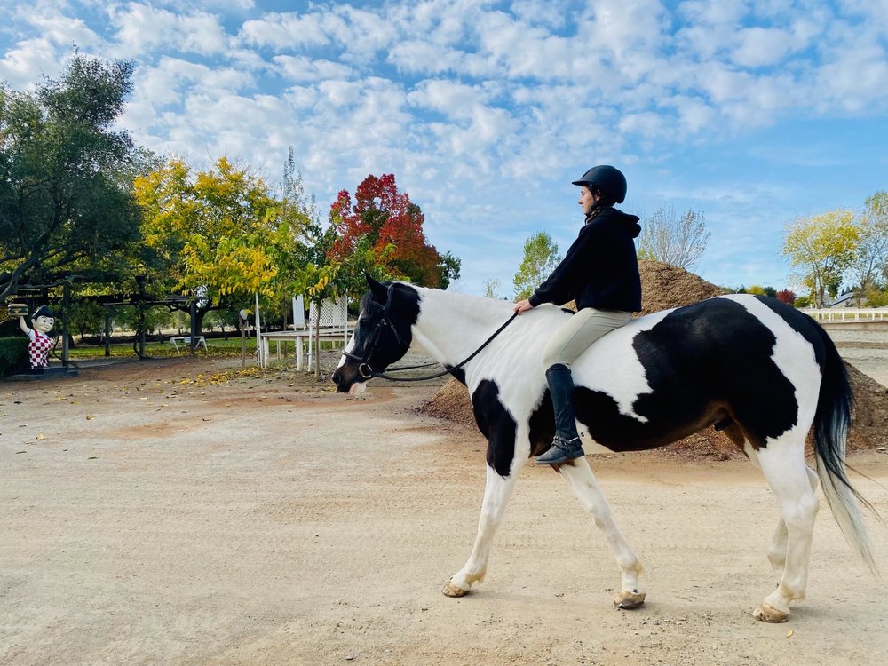 BROOKSIDE EQUESTRIAN PARK Updated October 2024 11120 Bradley Ranch Rd, Elk Grove, California