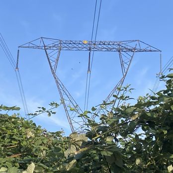 Serpentine Fen Nature Park - Lots of tiny birds on the power line - Parks Near Me - Surrey, British Columbia