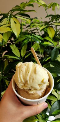 Elephant Garden Creamery by null