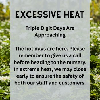 Willow Gardens Nursery - During days with extreme heat, please call before visiting. - Nurseries & Gardening Near Me - Clovis, California Willow Gardens Nursery - During days with extreme heat, please call before visiting. - Nurseries & Gardening Near Me - Clovis, California