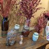 Dragon Herbs gift card
