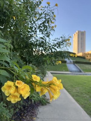 McGovern Centennial Gardens by null