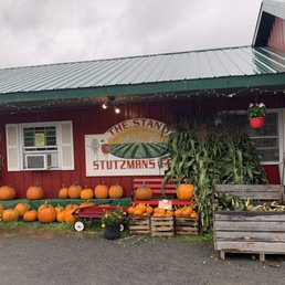 a display of pumpkins and corn a display of pumpkins and corn