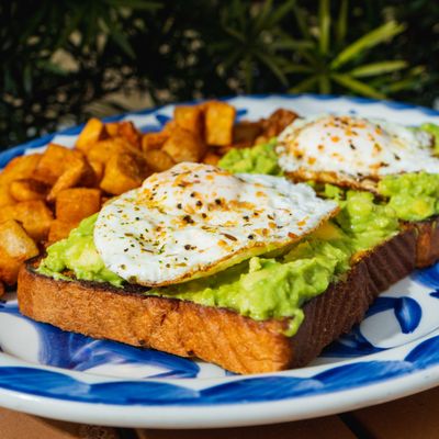 Viva Tacos & Tequila by null