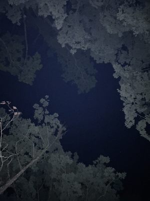 Hungry Mother State Park by null