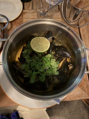 Flex Mussels by null Flex Mussels by null