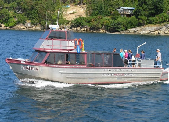 Steveston Seabreeze Adventures Vancouver by null