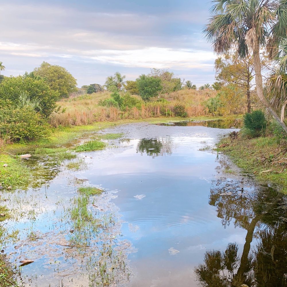 Plantation Preserve Linear Trail - The preserve has an area of 55 acres - Parks Near Me - Plantation, Florida Plantation Preserve Linear Trail - The preserve has an area of 55 acres - Parks Near Me - Plantation, Florida
